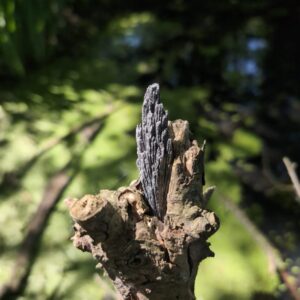 Kyaniet (Zwarte Waaier) 