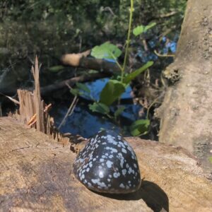 Sneeuwvlok Obsidiaan